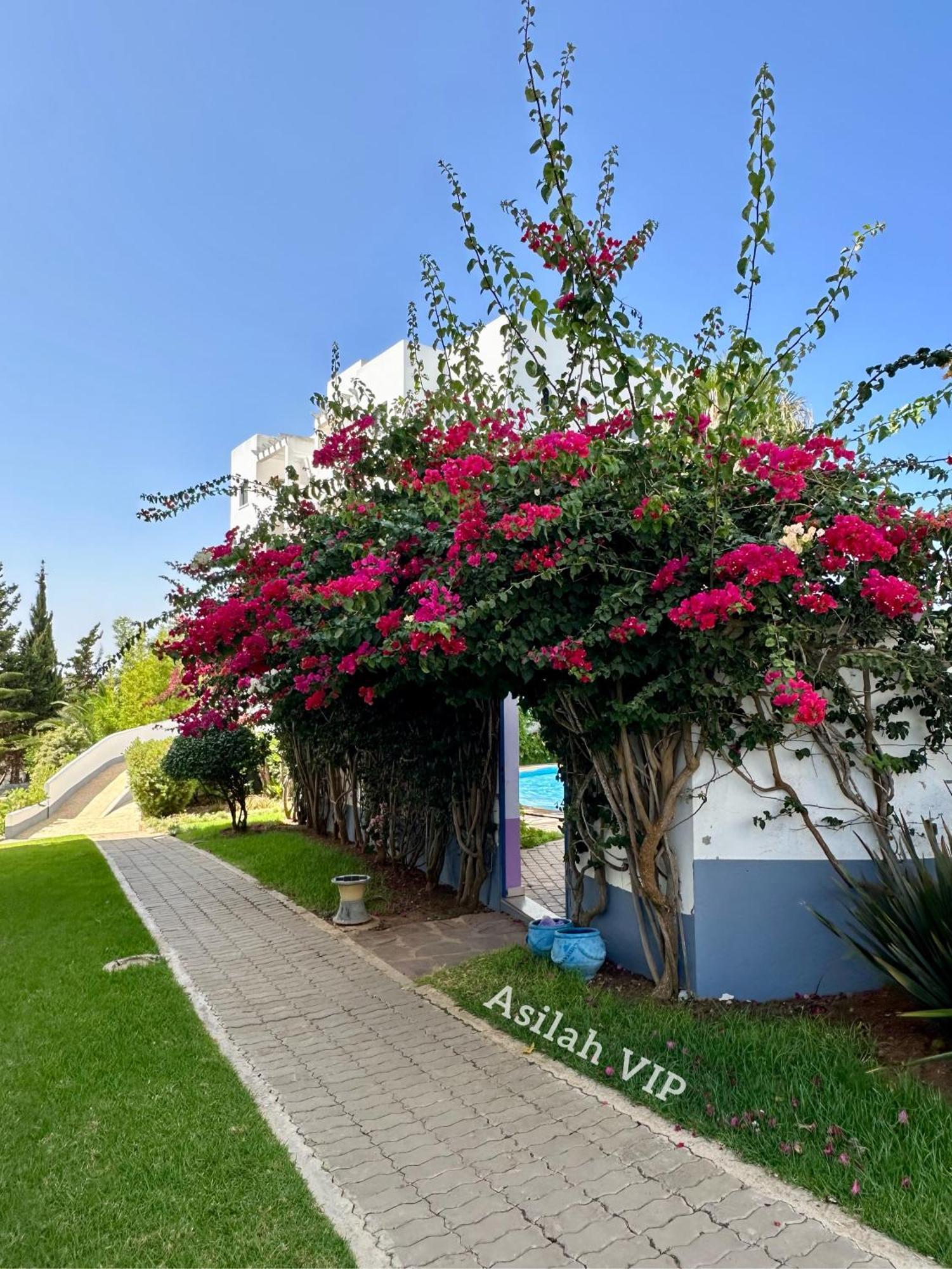 Asilah Vip - Haut Standing - Vue Mer - Piscines - Plage A 5 Minute - Garage Privee - Acces Pmr ภายนอก รูปภาพ
